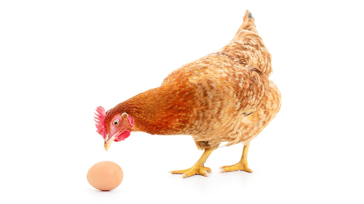 Explore solutions for Chicken and Egg strategy issues in startups and platforms.