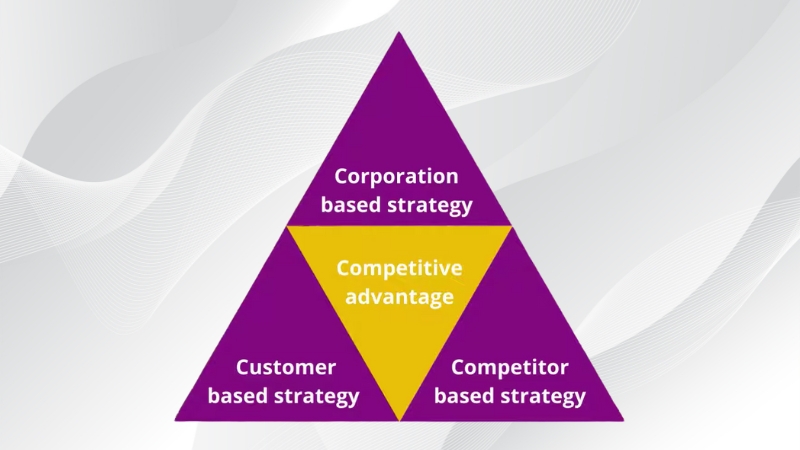 Strategic Triangle Framework showing company, customer, and competitor strategies for competitive advantage